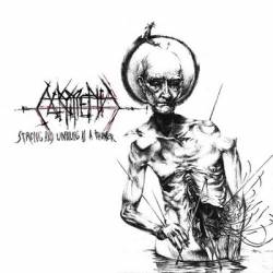 Strong and Unfailing As a Thunder